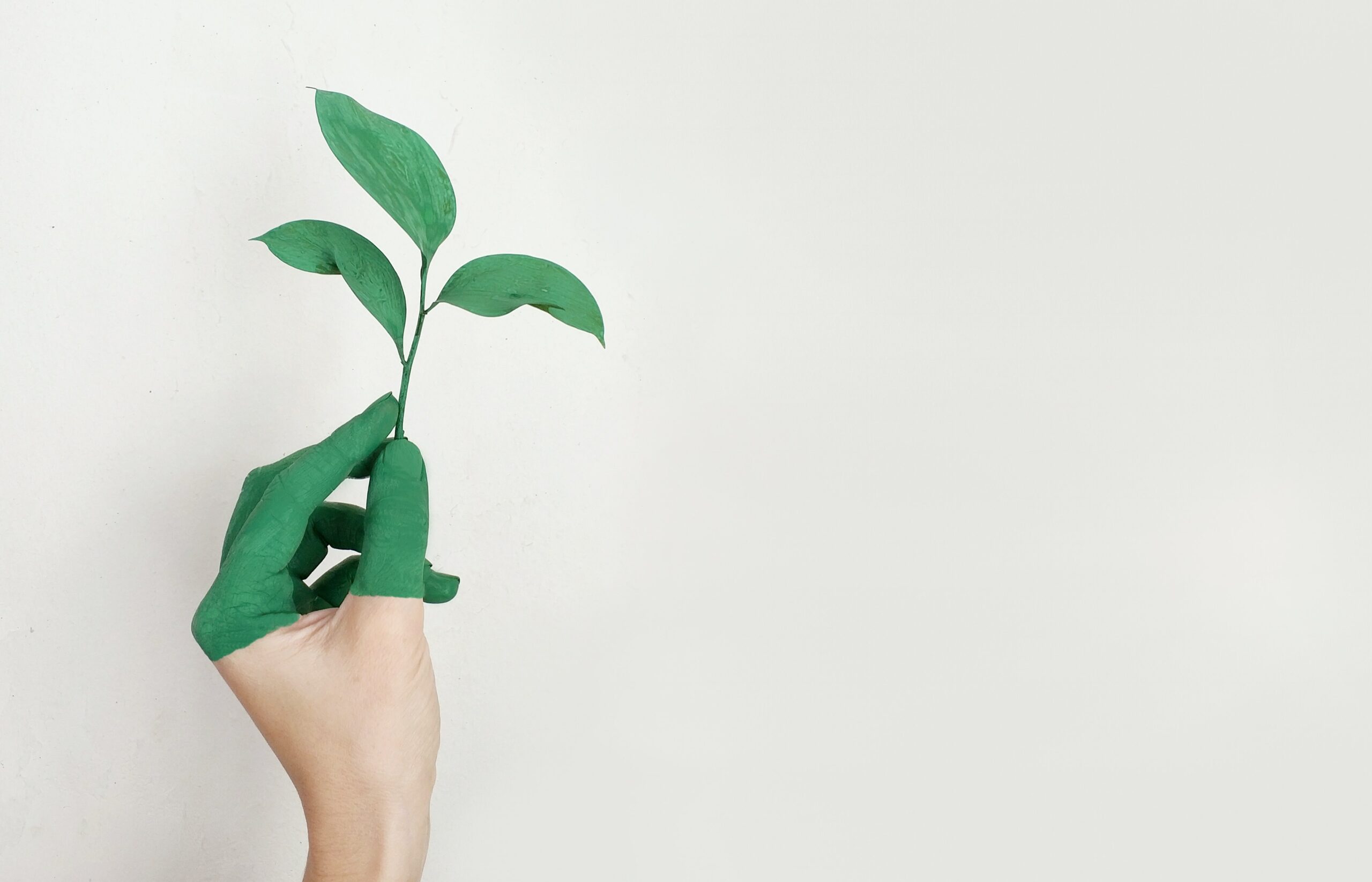 Visuel_intro_RSE_-_KLC_ENVIRONNEMENT